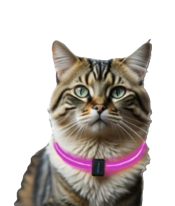 Leuchtendes Halsband Rosa