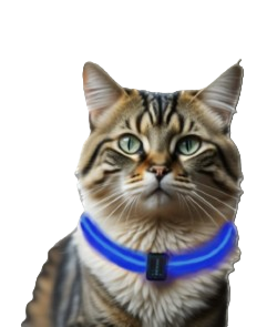 Leuchtendes Halsband Gelb