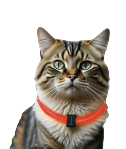 Leuchtendes Halsband Gelb